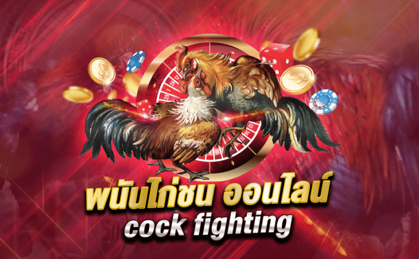 play bet พนันไก่ชนออนไลน์  ฝากถอนรวดเร็ว ไม่สะดุด ไม่รอนาน